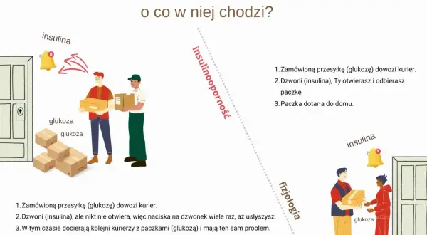 Ilustracja pokazuje, jak przy insulinooporności objawy są jak kurierzy z glukozą, którzy nie mogą się dostać do domu, bo insulina nie otwiera drzwi.