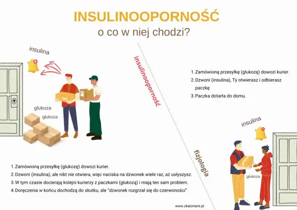 Ilustracja pokazuje, jak przy insulinooporności objawy są jak kurierzy z glukozą, którzy nie mogą się dostać do domu, bo insulina nie otwiera drzwi.
