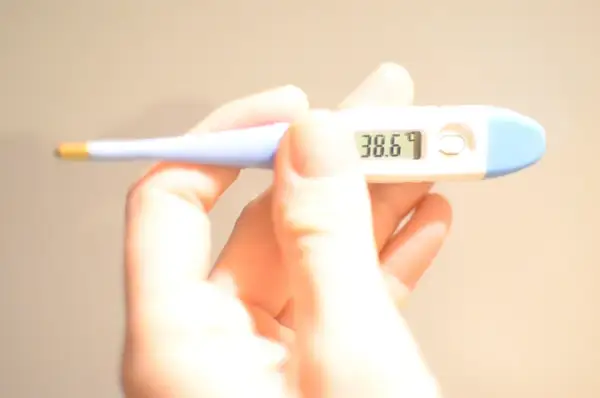 Dłoń trzyma termometr cyfrowy, który pokazuje 38.6°C. To wynik pomiaru temperatury w odbycie.